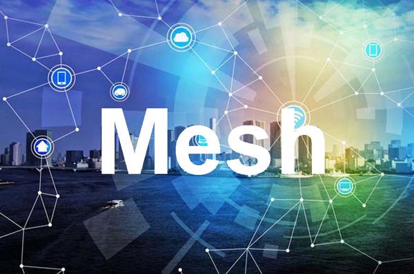 Mesh